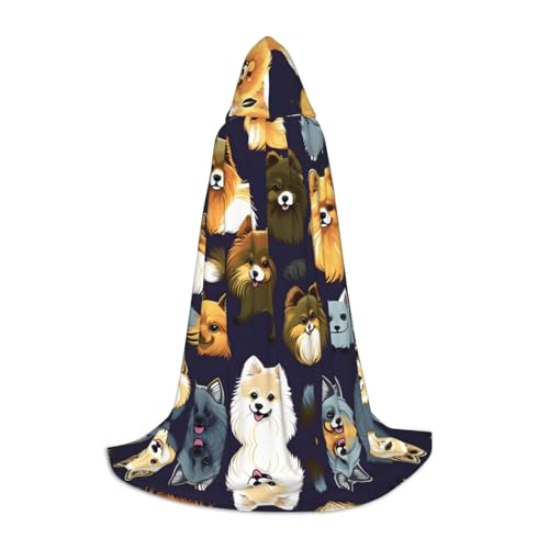 HJLUUFT Kapuzenumhang mit vielen Zwergspitzen, für Teenager, Halloween, langer Umhang, Maskerade-Kleid, Cosplay-Kostüm HJLUUFT Kapuzenumhang mit vielen Zwergspitzen, für Teenager, Halloween, langer Umhang, Maskerade-Kleid, Cosplay-Kostüm von HJLUUFT