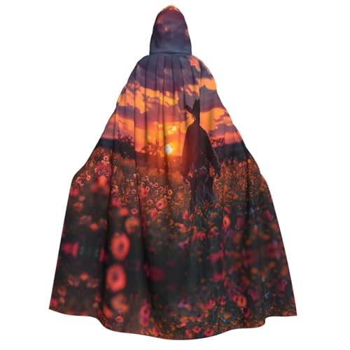 HJLUUFT Umhang mit Kapuze für Halloween, Weihnachten, Mittelalter, Renaissance, Wikingerkönigs-Umhang HJLUUFT Umhang mit Kapuze für Halloween, Weihnachten, Mittelalter, Renaissance, Wikingerkönigs-Umhang von HJLUUFT