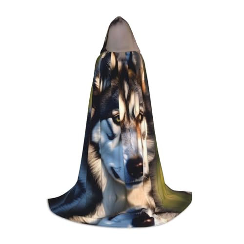 HJLUUFT Wunderschöner Husky-Print Zauberer Kapuzenmantel für Erwachsene, Halloween-Umhang, Kostüme, Kapuzenumhang, Maskerade HJLUUFT Wunderschöner Husky-Print Zauberer Kapuzenmantel für Erwachsene, Halloween-Umhang, Kostüme, Kapuzenumhang, Maskerade von HJLUUFT