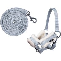 Halfter undrick -Hobby Horsing- grau von HKM Sports Equipment GmbH