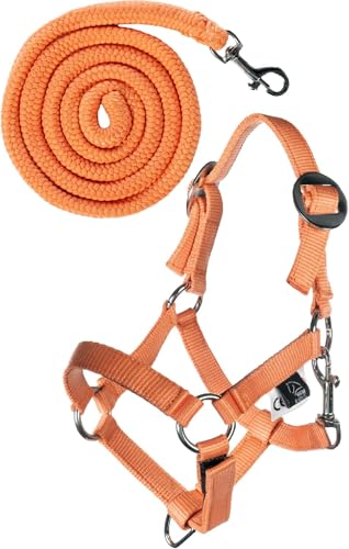 HKM Kinder Hobby Horsing Basic Halfter und Strick, Orange, One Size von HKM