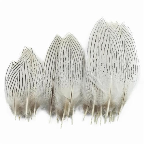 HKSDKABOP Handwerksdekoration mit Federn, 10er-Pack natürliche Silberne Fasanenfedern, naturweiß, 10–30 cm(15-20cm 6-8 Inch) von HKSDKABOP