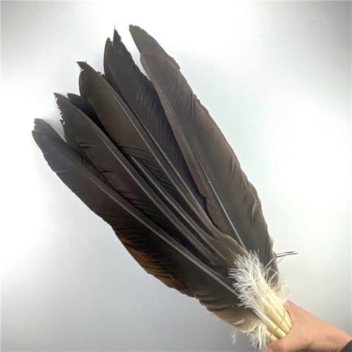 HKSDKABOP Handwerksdekoration mit Federn, 10er-Packung Adlerfedern for Basteln und Dekorieren, Mehrfarbig, 40–60 cm(Natural,50-60cm 20-24inch) von HKSDKABOP