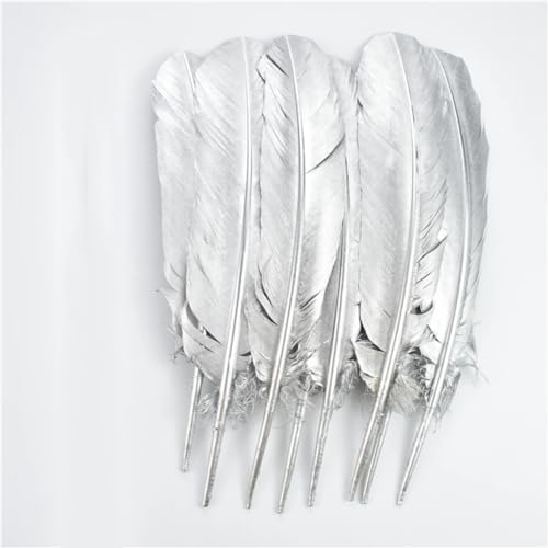 HKSDKABOP Handwerksdekoration mit Federn, Craft Feathers Naturfedern Gans Ente Truthahn Gold Silber Zweifarbig 4-14 Zoll Packung mit 10/50/100/200/500(Silver 10-12 Inch,100 Piece) von HKSDKABOP