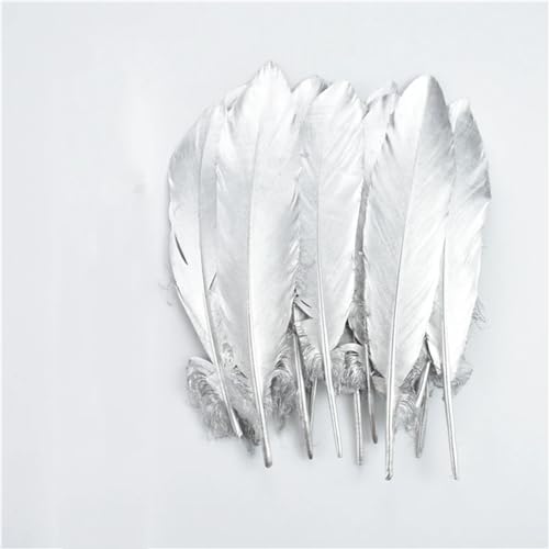HKSDKABOP Handwerksdekoration mit Federn, Craft Feathers Naturfedern Gans Ente Truthahn Gold Silber Zweifarbig 4-14 Zoll Packung mit 10/50/100/200/500(Silver 6-8 Inch,500 Piece) von HKSDKABOP