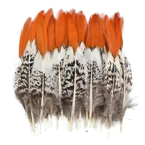 HKSDKABOP Handwerksdekoration mit Federn, Fasanenfedern for Basteln, 5–30 cm, 2–12 Zoll, Packung mit 10 bis 200 Stück, mehrere Größen(25-30cm 10-12 Inch,50 Piece) von HKSDKABOP