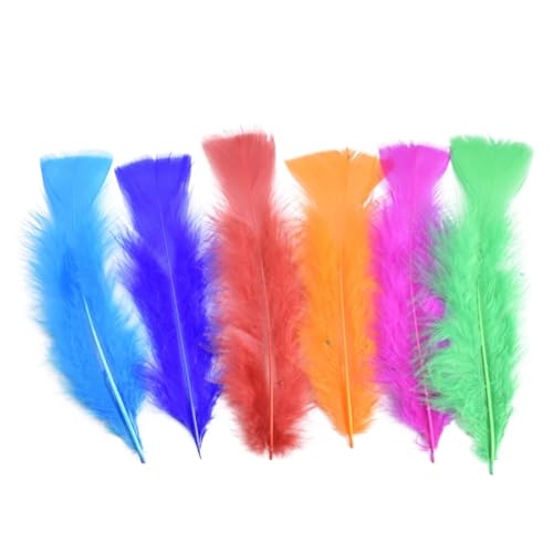 HKSDKABOP Handwerksdekoration mit Federn, Federn for Basteln, Mehrfarbig, Packung mit 20/100 Stück(11 Ping Ban Mao,20 Piece) von HKSDKABOP