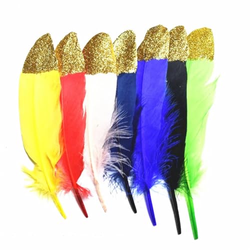 HKSDKABOP Handwerksdekoration mit Federn, Federn for Basteln, Mehrfarbig, Packung mit 20/100 Stück(16pen Jin Fen Da Pi,100 Piece) von HKSDKABOP