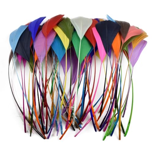 HKSDKABOP Handwerksdekoration mit Federn, Federn for Basteln, Mehrfarbig, Packung mit 20/100 Stück(27 SI Piao TOU,100 Piece) von HKSDKABOP