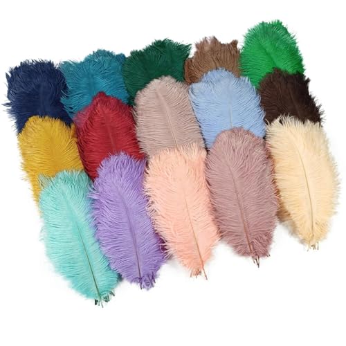 HKSDKABOP Handwerksdekoration mit Federn, Federn for Basteln, Mehrfarbig, Packung mit 20/100 Stück(2820-25cm Tuo Niao,20 Piece) von HKSDKABOP