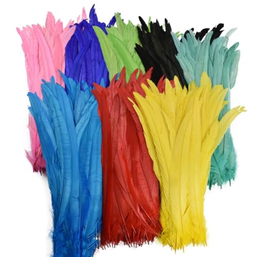 HKSDKABOP Handwerksdekoration mit Federn, Federn for Basteln, Mehrfarbig, Packung mit 20/100 Stück(2940-45cm Gong Ji,100 Piece) von HKSDKABOP