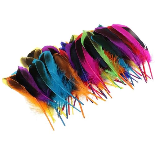HKSDKABOP Handwerksdekoration mit Federn, Federn for Basteln, Mehrfarbig, Packung mit 20/100 Stück(8 Ya Cui,100 Piece) von HKSDKABOP