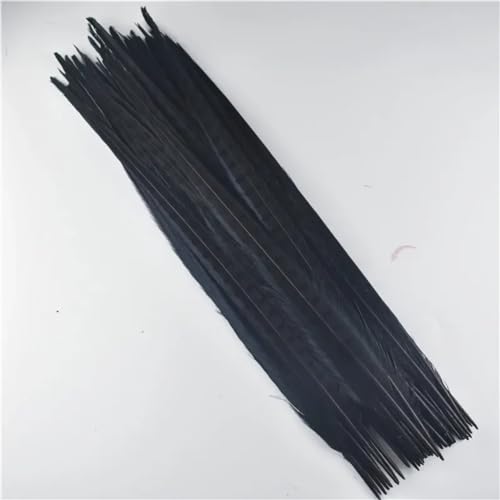 HKSDKABOP Handwerksdekoration mit Federn, Natürliche Ringneck Fasan Federn 40-45cm Multicolor Mehrere Mengen Handwerk Dekor(Black,30 Piece) von HKSDKABOP