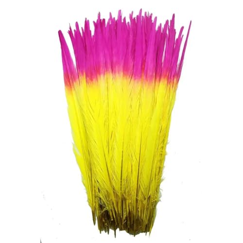HKSDKABOP Handwerksdekoration mit Federn, Natürliche Ringneck Fasan Federn 40-45cm Multicolor Mehrere Mengen Handwerk Dekor(Double Color 2,200 Piece) von HKSDKABOP