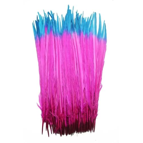 HKSDKABOP Handwerksdekoration mit Federn, Natürliche Ringneck Fasan Federn 40-45cm Multicolor Mehrere Mengen Handwerk Dekor(Double Color 4,200 Piece) von HKSDKABOP