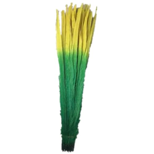 HKSDKABOP Handwerksdekoration mit Federn, Natürliche Ringneck Fasan Federn 40-45cm Multicolor Mehrere Mengen Handwerk Dekor(Double Color 9,100 Piece) von HKSDKABOP