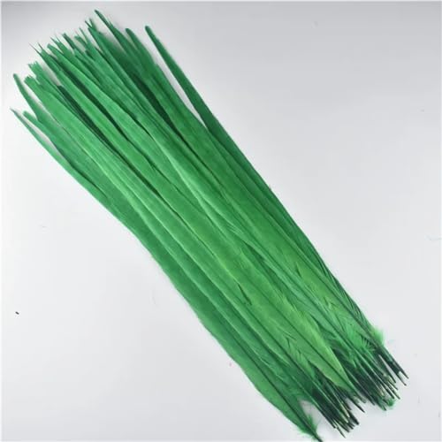 HKSDKABOP Handwerksdekoration mit Federn, Natürliche Ringneck Fasan Federn 40-45cm Multicolor Mehrere Mengen Handwerk Dekor(Grass Gn,50 Piece) von HKSDKABOP