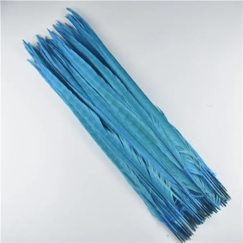 HKSDKABOP Handwerksdekoration mit Federn, Natürliche Ringneck Fasan Federn 40-45cm Multicolor Mehrere Mengen Handwerk Dekor(Lake Blue,10 Piece) von HKSDKABOP