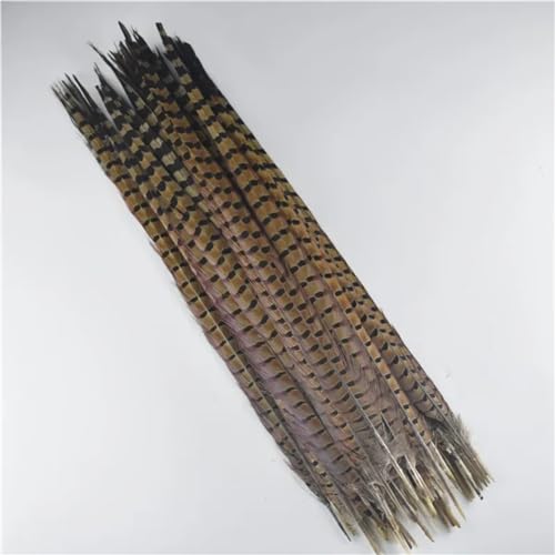 HKSDKABOP Handwerksdekoration mit Federn, Natürliche Ringneck Fasan Federn 40-45cm Multicolor Mehrere Mengen Handwerk Dekor(Natural,50 Piece) von HKSDKABOP