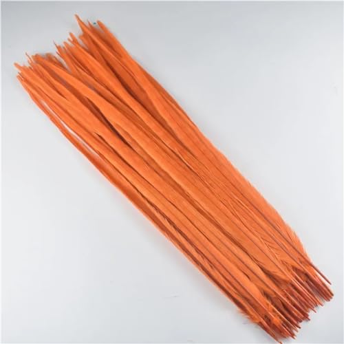 HKSDKABOP Handwerksdekoration mit Federn, Natürliche Ringneck Fasan Federn 40-45cm Multicolor Mehrere Mengen Handwerk Dekor(Orange,100 Piece) von HKSDKABOP