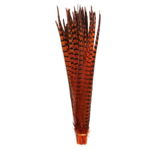 HKSDKABOP Handwerksdekoration mit Federn, Natürliche Ringneck Fasan Federn 40-45cm Multicolor Mehrere Mengen Handwerk Dekor(Orange1,50 Piece) von HKSDKABOP