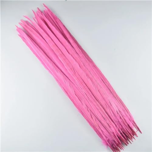 HKSDKABOP Handwerksdekoration mit Federn, Natürliche Ringneck Fasan Federn 40-45cm Multicolor Mehrere Mengen Handwerk Dekor(Pink,200 Piece) von HKSDKABOP