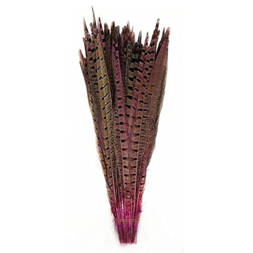 HKSDKABOP Handwerksdekoration mit Federn, Natürliche Ringneck Fasan Federn 40-45cm Multicolor Mehrere Mengen Handwerk Dekor(Pink1,50 Piece) von HKSDKABOP