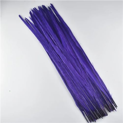 HKSDKABOP Handwerksdekoration mit Federn, Natürliche Ringneck Fasan Federn 40-45cm Multicolor Mehrere Mengen Handwerk Dekor(Purple,30 Piece) von HKSDKABOP