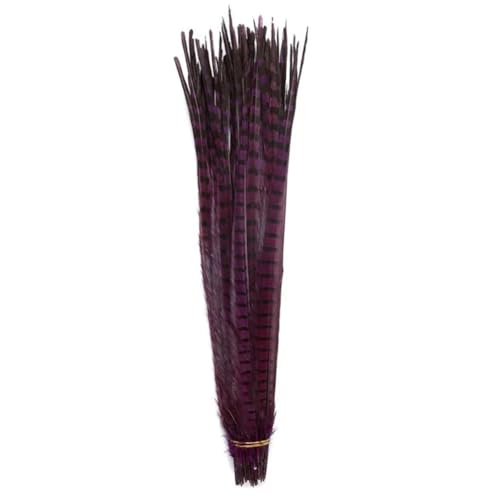 HKSDKABOP Handwerksdekoration mit Federn, Natürliche Ringneck Fasan Federn 40-45cm Multicolor Mehrere Mengen Handwerk Dekor(Purple1,50 Piece) von HKSDKABOP