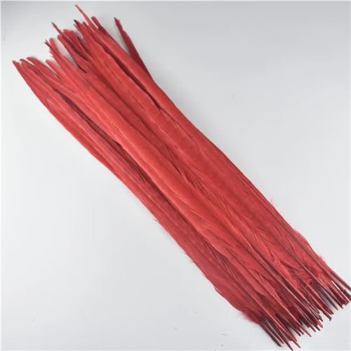 HKSDKABOP Handwerksdekoration mit Federn, Natürliche Ringneck Fasan Federn 40-45cm Multicolor Mehrere Mengen Handwerk Dekor(Red,10 Piece) von HKSDKABOP