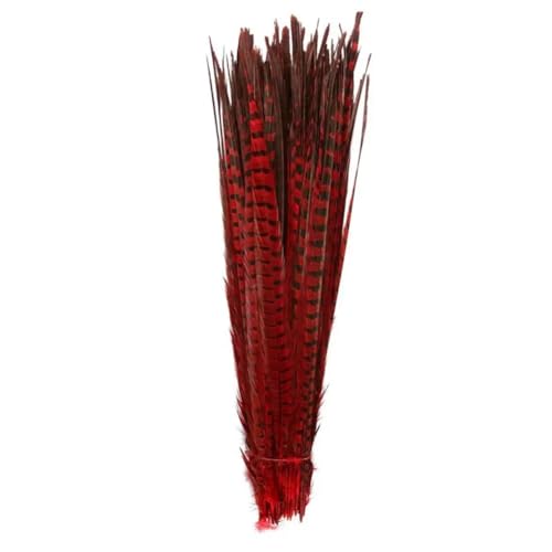 HKSDKABOP Handwerksdekoration mit Federn, Natürliche Ringneck Fasan Federn 40-45cm Multicolor Mehrere Mengen Handwerk Dekor(Red1,10 Piece) von HKSDKABOP