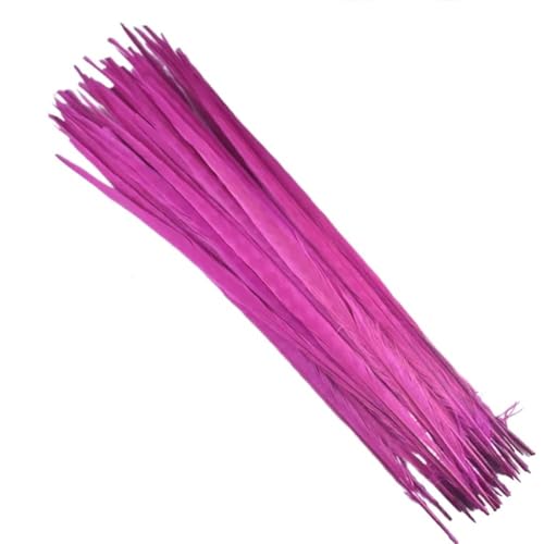 HKSDKABOP Handwerksdekoration mit Federn, Natürliche Ringneck Fasan Federn 40-45cm Multicolor Mehrere Mengen Handwerk Dekor(Rose Red,30 Piece) von HKSDKABOP