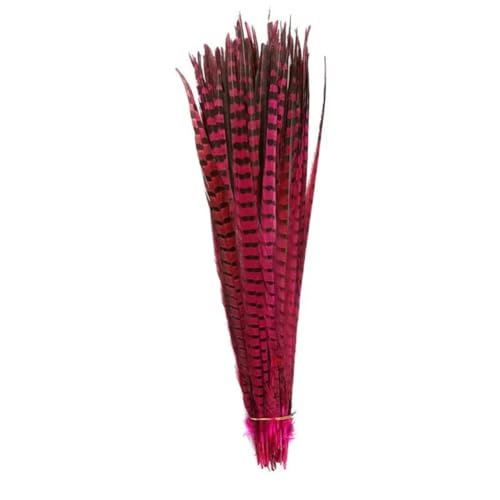 HKSDKABOP Handwerksdekoration mit Federn, Natürliche Ringneck Fasan Federn 40-45cm Multicolor Mehrere Mengen Handwerk Dekor(Rose Red1,30 Piece) von HKSDKABOP