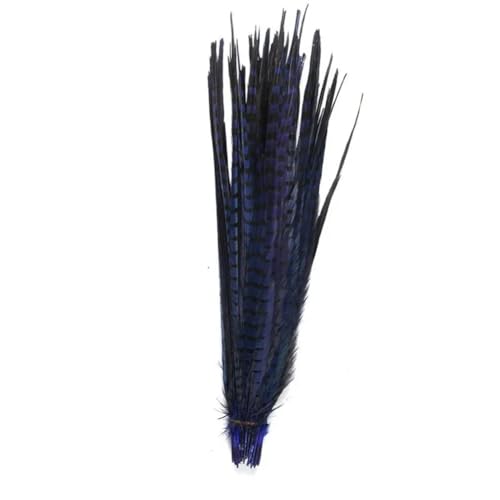 HKSDKABOP Handwerksdekoration mit Federn, Natürliche Ringneck Fasan Federn 40-45cm Multicolor Mehrere Mengen Handwerk Dekor(Royal Blue1,200 Piece) von HKSDKABOP