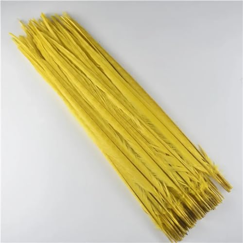 HKSDKABOP Handwerksdekoration mit Federn, Natürliche Ringneck Fasan Federn 40-45cm Multicolor Mehrere Mengen Handwerk Dekor(Yellow,100 Piece) von HKSDKABOP