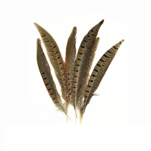 HKSDKABOP Handwerksdekoration mit Federn, Natürliche Ringneck-Fasanenfedern for Basteln, 10 Stück, Verschiedene Größen(15-20cm 6-8inch) von HKSDKABOP