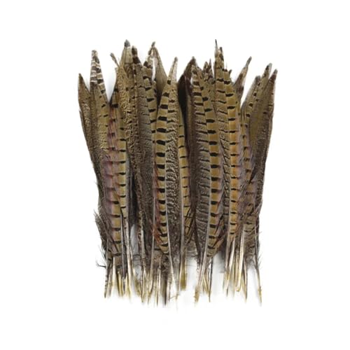 HKSDKABOP Handwerksdekoration mit Federn, Natürliche Ringneck-Fasanenfedern for Basteln, 10 Stück, Verschiedene Größen(20-25cm 8-10inch) von HKSDKABOP