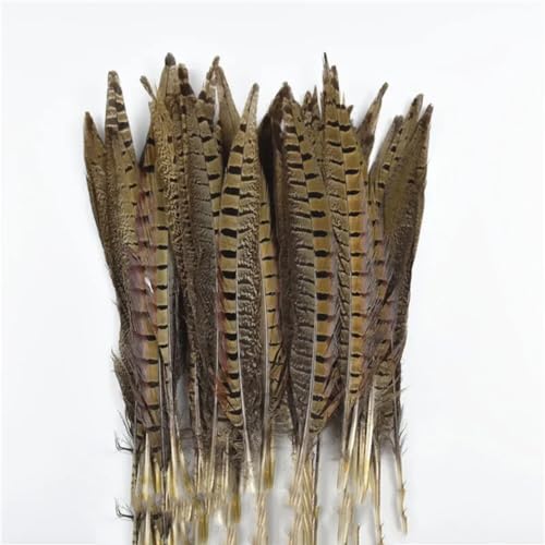 HKSDKABOP Handwerksdekoration mit Federn, Natürliche Ringneck-Fasanenfedern for Basteln, 10 Stück, Verschiedene Größen(25-30cm 10-12inch) von HKSDKABOP