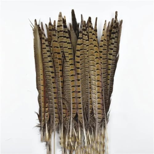 HKSDKABOP Handwerksdekoration mit Federn, Natürliche Ringneck-Fasanenfedern for Basteln, 10 Stück, Verschiedene Größen(30-35cm 12-14inch) von HKSDKABOP