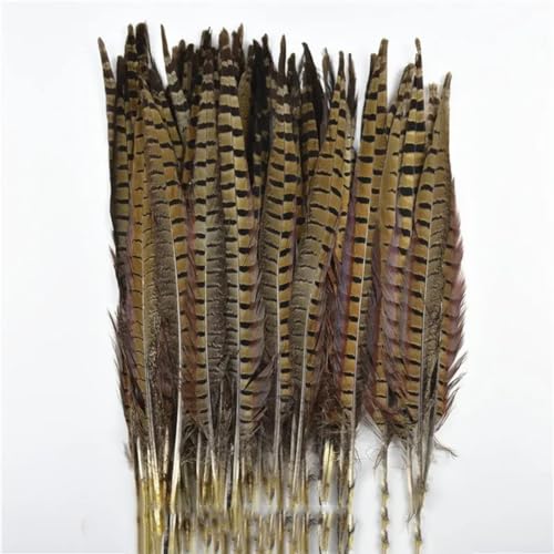 HKSDKABOP Handwerksdekoration mit Federn, Natürliche Ringneck-Fasanenfedern for Basteln, 10 Stück, Verschiedene Größen(35-40cm 14-16inch) von HKSDKABOP