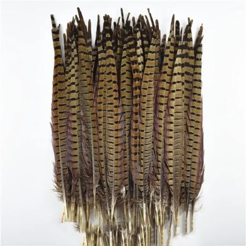HKSDKABOP Handwerksdekoration mit Federn, Natürliche Ringneck-Fasanenfedern for Basteln, 10 Stück, Verschiedene Größen(40-45cm 16-18inch) von HKSDKABOP
