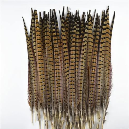 HKSDKABOP Handwerksdekoration mit Federn, Natürliche Ringneck-Fasanenfedern for Basteln, 10 Stück, Verschiedene Größen(45-50cm 18-20inch) von HKSDKABOP