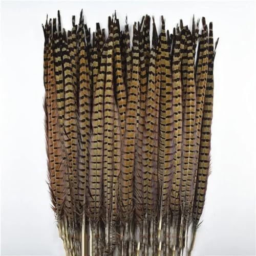 HKSDKABOP Handwerksdekoration mit Federn, Natürliche Ringneck-Fasanenfedern for Basteln, 10 Stück, Verschiedene Größen(50-55cm 20-22inch) von HKSDKABOP