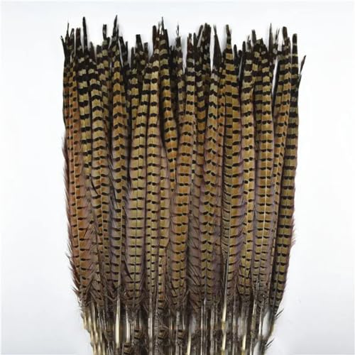 HKSDKABOP Handwerksdekoration mit Federn, Natürliche Ringneck-Fasanenfedern for Basteln, 10 Stück, Verschiedene Größen(55-60cm 22-24inch) von HKSDKABOP