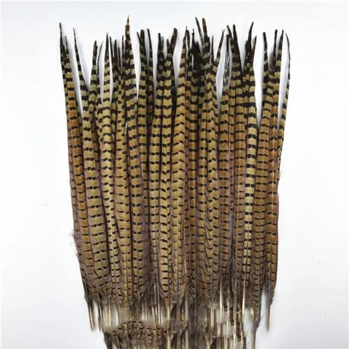 HKSDKABOP Handwerksdekoration mit Federn, Natürliche Ringneck-Fasanenfedern for Basteln, 10 Stück, Verschiedene Größen(60-65cm 24-26inch) von HKSDKABOP