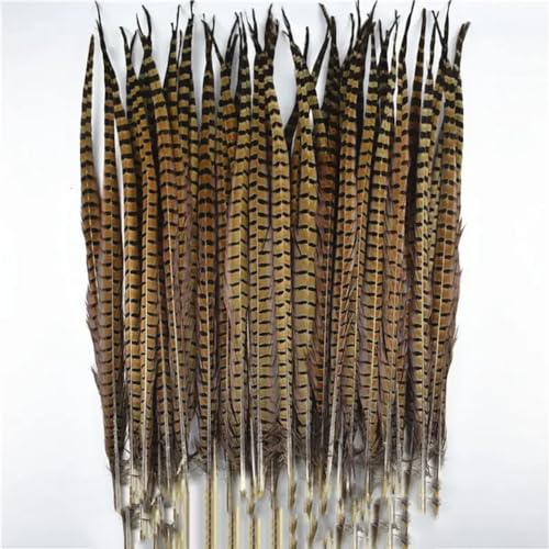 HKSDKABOP Handwerksdekoration mit Federn, Natürliche Ringneck-Fasanenfedern for Basteln, 10 Stück, Verschiedene Größen(65-70cm 26-28inch) von HKSDKABOP