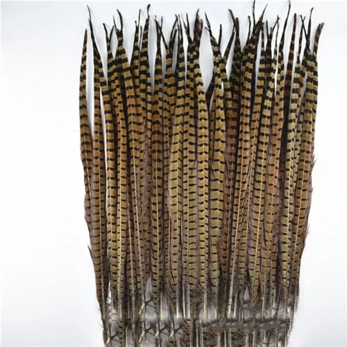 HKSDKABOP Handwerksdekoration mit Federn, Natürliche Ringneck-Fasanenfedern for Basteln, 10 Stück, Verschiedene Größen(70-75cm 28-30inch) von HKSDKABOP
