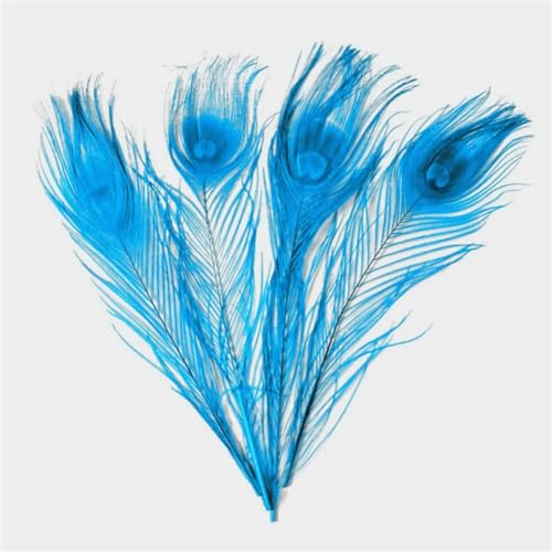 HKSDKABOP Handwerksdekoration mit Federn, Packung mit 20 Pfauenfedern, Mehrfarbig(Lake Blue) von HKSDKABOP