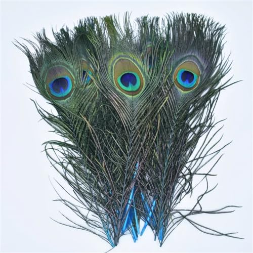 HKSDKABOP Handwerksdekoration mit Federn, Packung mit 20 Pfauenfedern, Mehrfarbig(Lake Blue1) von HKSDKABOP