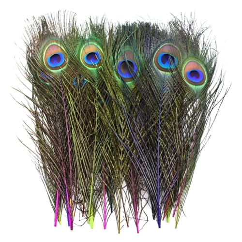 HKSDKABOP Handwerksdekoration mit Federn, Packung mit 20 Pfauenfedern, Mehrfarbig(Mixed Color 2) von HKSDKABOP